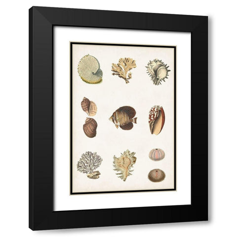 Antique Coastal Chart I Black Modern Wood Framed Art Print with Double Matting by Vision Studio