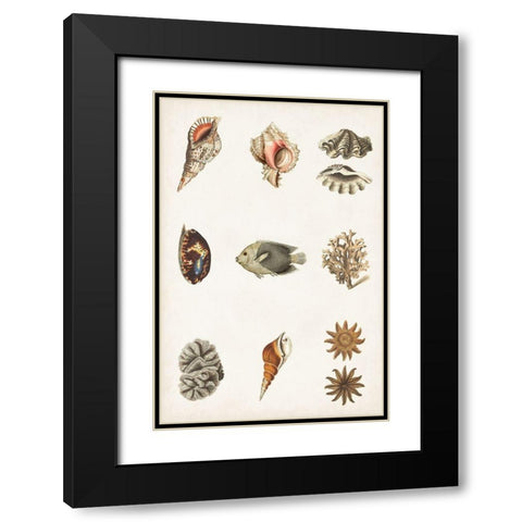 Antique Coastal Chart II Black Modern Wood Framed Art Print with Double Matting by Vision Studio