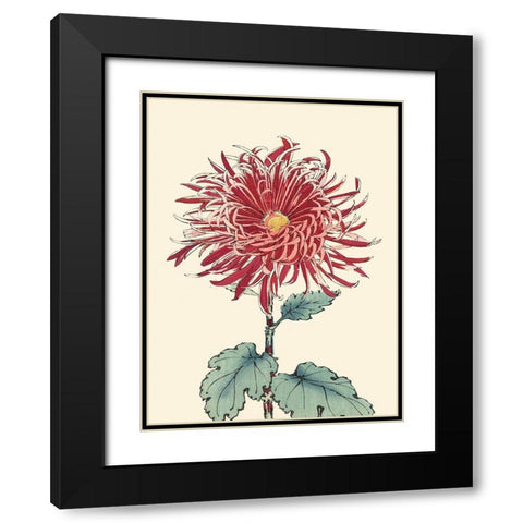 Chrysanthemum Woodblock I Black Modern Wood Framed Art Print with Double Matting by Unknown