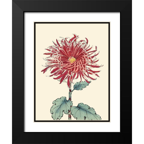 Chrysanthemum Woodblock I Black Modern Wood Framed Art Print with Double Matting by Unknown