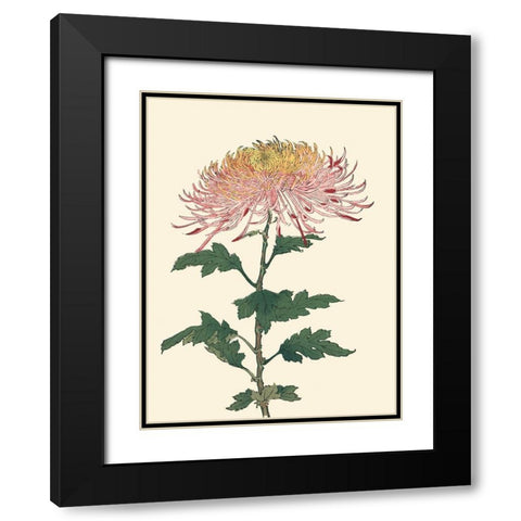 Chrysanthemum Woodblock II Black Modern Wood Framed Art Print with Double Matting by Unknown