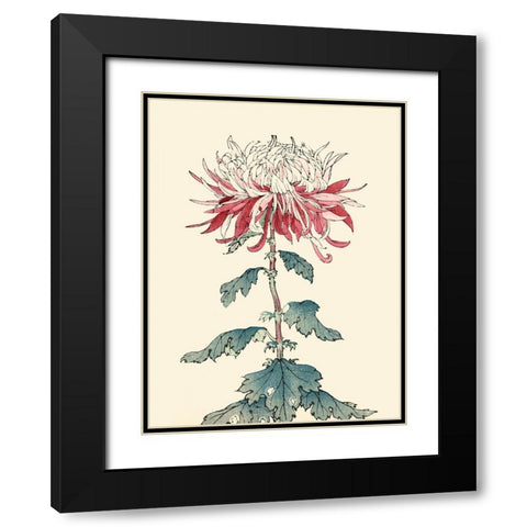 Chrysanthemum Woodblock III Black Modern Wood Framed Art Print with Double Matting by Unknown