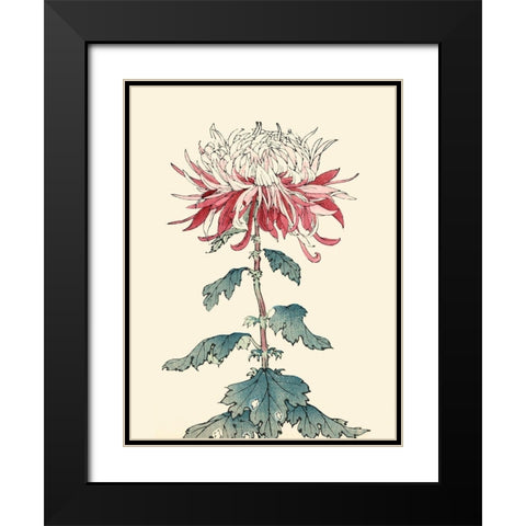 Chrysanthemum Woodblock III Black Modern Wood Framed Art Print with Double Matting by Unknown