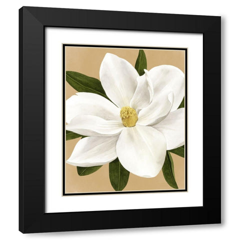 Magnolia on Gold I Black Modern Wood Framed Art Print with Double Matting by Popp, Grace