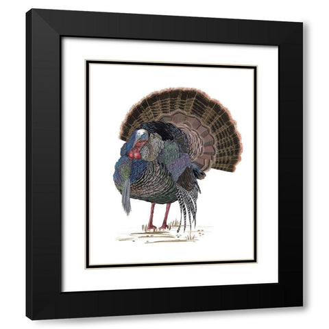 Turkey Study II Black Modern Wood Framed Art Print with Double Matting by Wang, Melissa