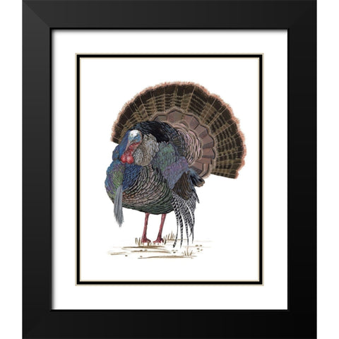 Turkey Study II Black Modern Wood Framed Art Print with Double Matting by Wang, Melissa