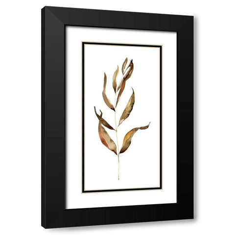 Autumn Stem I Black Modern Wood Framed Art Print with Double Matting by Goldberger, Jennifer