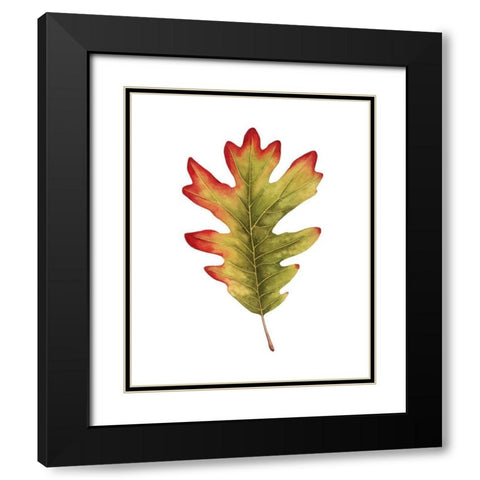 Fall Leaf Study II Black Modern Wood Framed Art Print with Double Matting by Popp, Grace