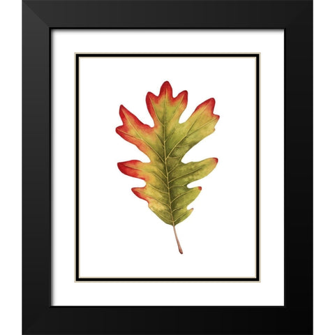 Fall Leaf Study II Black Modern Wood Framed Art Print with Double Matting by Popp, Grace