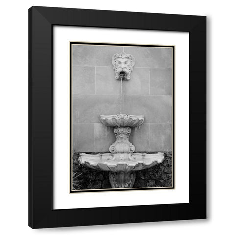 Black and White Fountains I Black Modern Wood Framed Art Print with Double Matting by DeNardo, Laura
