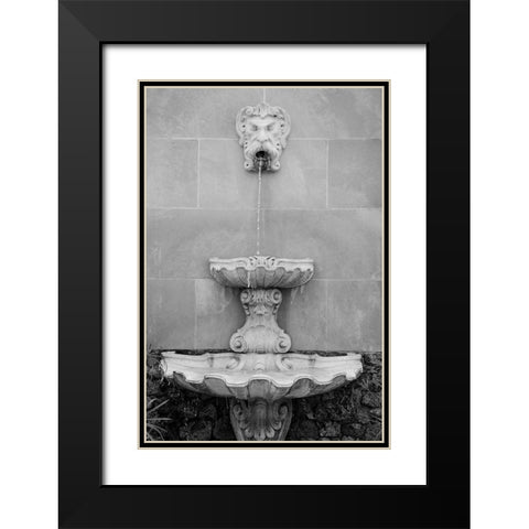 Black and White Fountains I Black Modern Wood Framed Art Print with Double Matting by DeNardo, Laura