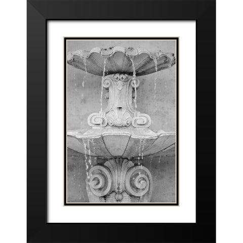 Black and White Fountains II Black Modern Wood Framed Art Print with Double Matting by DeNardo, Laura