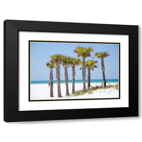 Coastal Palms II Black Modern Wood Framed Art Print with Double Matting by DeNardo, Laura