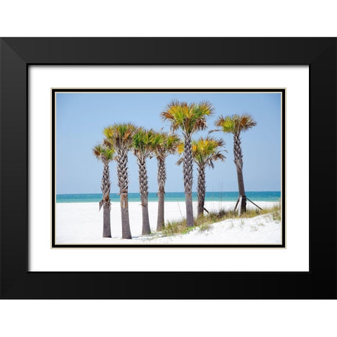 Coastal Palms II Black Modern Wood Framed Art Print with Double Matting by DeNardo, Laura