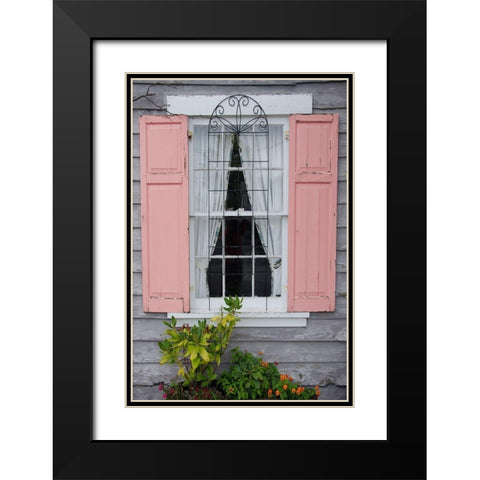 Pastel Windows I Black Modern Wood Framed Art Print with Double Matting by DeNardo, Laura