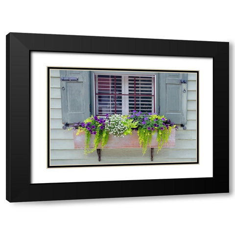 Pastel Windows IV Black Modern Wood Framed Art Print with Double Matting by DeNardo, Laura