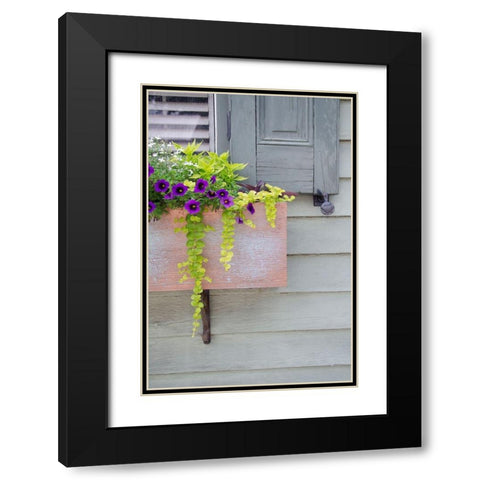 Pastel Windows V Black Modern Wood Framed Art Print with Double Matting by DeNardo, Laura