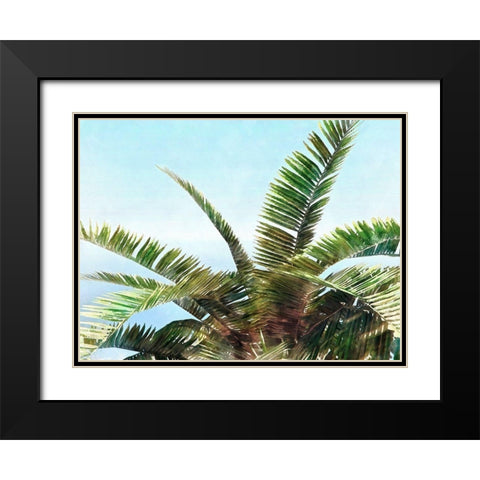 Pleasant Palms I Black Modern Wood Framed Art Print with Double Matting by Saunders, Alonzo