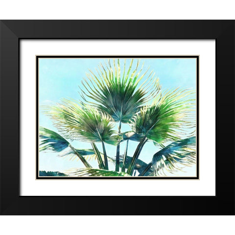 Pleasant Palms II Black Modern Wood Framed Art Print with Double Matting by Saunders, Alonzo