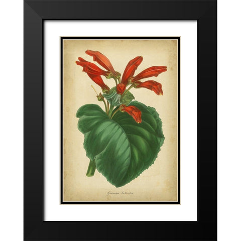 Vermillion Blooms I Black Modern Wood Framed Art Print with Double Matting by Paxton