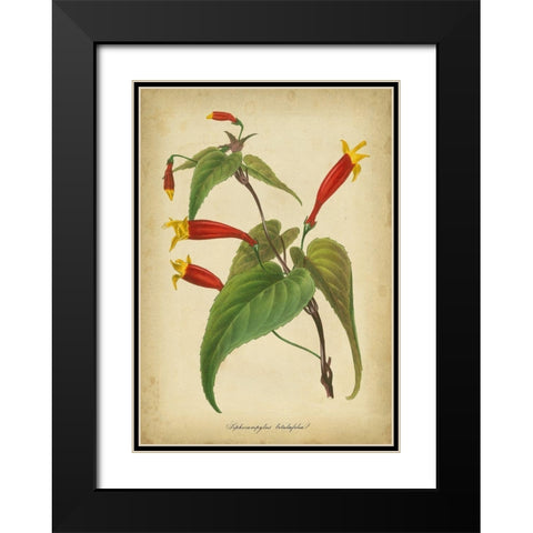 Vermillion Blooms IV Black Modern Wood Framed Art Print with Double Matting by Paxton