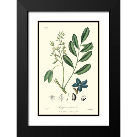 Woodland Foliage I Black Modern Wood Framed Art Print with Double Matting by Weddell