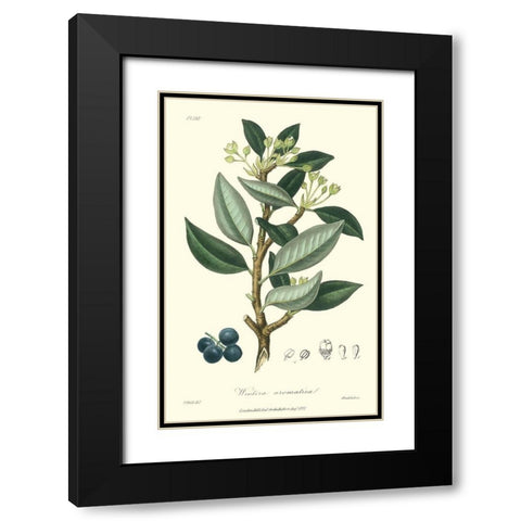 Woodland Foliage III Black Modern Wood Framed Art Print with Double Matting by Weddell