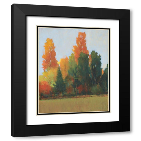 Fall Colors I Black Modern Wood Framed Art Print with Double Matting by OToole, Tim
