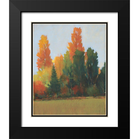 Fall Colors I Black Modern Wood Framed Art Print with Double Matting by OToole, Tim