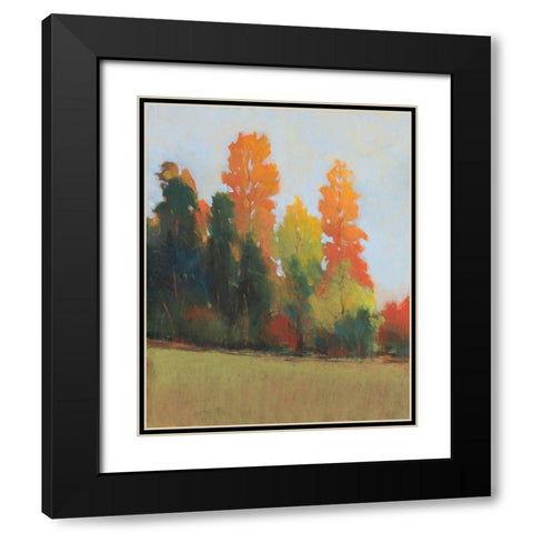 Fall Colors II Black Modern Wood Framed Art Print with Double Matting by OToole, Tim