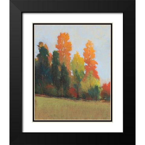 Fall Colors II Black Modern Wood Framed Art Print with Double Matting by OToole, Tim