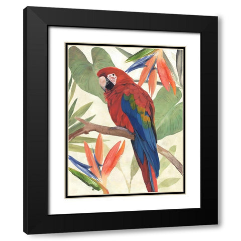 Tropical Parrot Composition II Black Modern Wood Framed Art Print with Double Matting by Warren, Annie