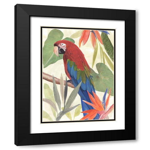 Tropical Parrot Composition III Black Modern Wood Framed Art Print with Double Matting by Warren, Annie