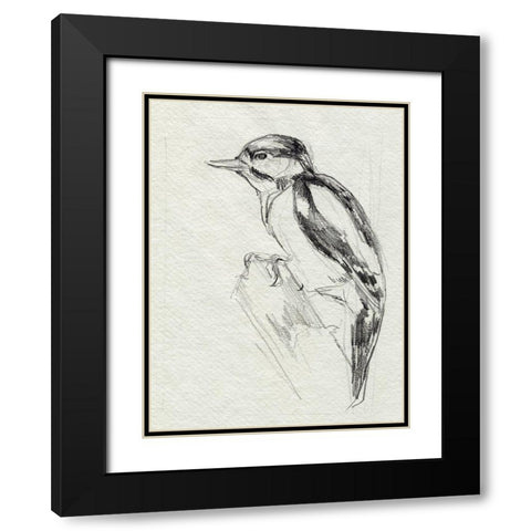 Woodpecker Sketch I Black Modern Wood Framed Art Print with Double Matting by Parker, Jennifer Paxton