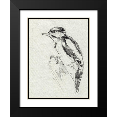 Woodpecker Sketch I Black Modern Wood Framed Art Print with Double Matting by Parker, Jennifer Paxton