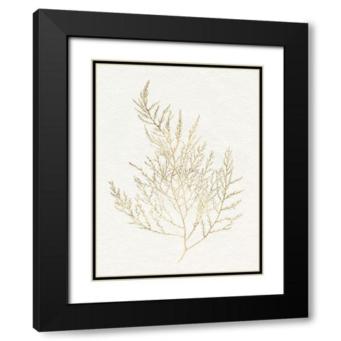 Gilded Algae II Black Modern Wood Framed Art Print with Double Matting by Goldberger, Jennifer