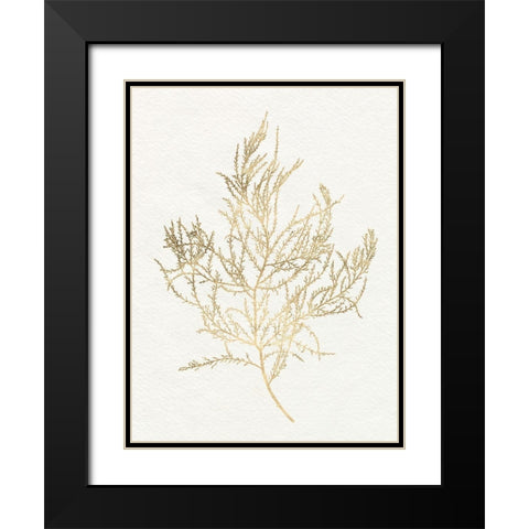Gilded Algae III Black Modern Wood Framed Art Print with Double Matting by Goldberger, Jennifer