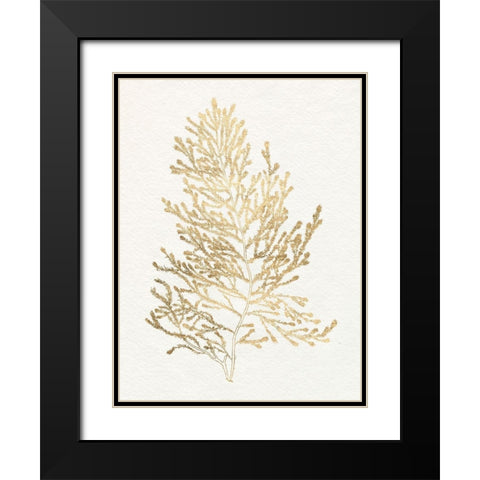 Gilded Algae IV Black Modern Wood Framed Art Print with Double Matting by Goldberger, Jennifer