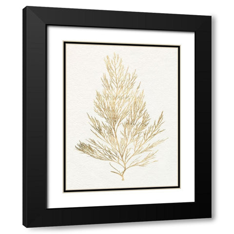 Gilded Algae V Black Modern Wood Framed Art Print with Double Matting by Goldberger, Jennifer