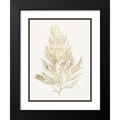 Gilded Algae V Black Modern Wood Framed Art Print with Double Matting by Goldberger, Jennifer