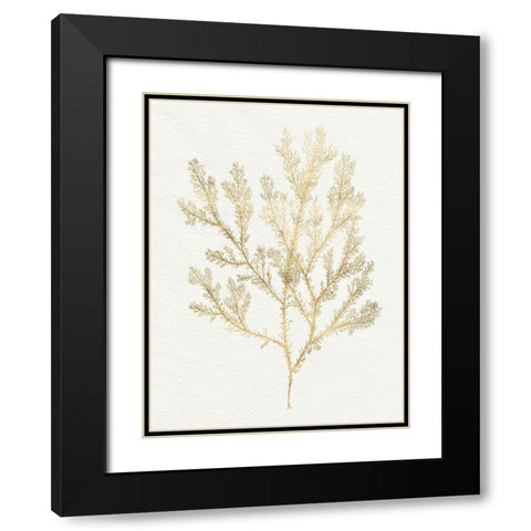 Gilded Algae VI Black Modern Wood Framed Art Print with Double Matting by Goldberger, Jennifer