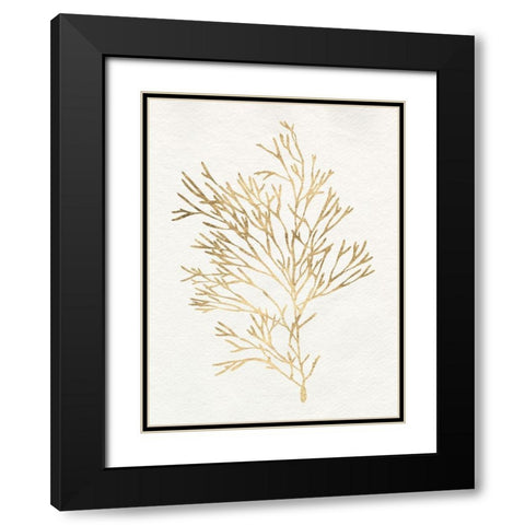 Gilded Algae VII Black Modern Wood Framed Art Print with Double Matting by Goldberger, Jennifer