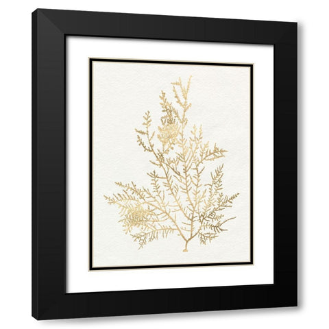 Gilded Algae VIII Black Modern Wood Framed Art Print with Double Matting by Goldberger, Jennifer