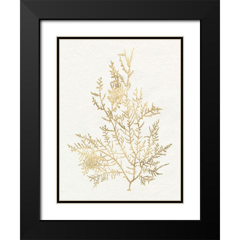 Gilded Algae VIII Black Modern Wood Framed Art Print with Double Matting by Goldberger, Jennifer