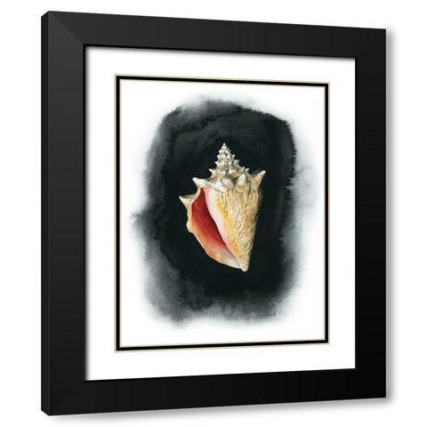 Conch on Black I Black Modern Wood Framed Art Print with Double Matting by Popp, Grace