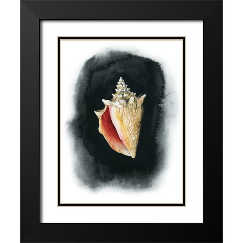 Conch on Black I Black Modern Wood Framed Art Print with Double Matting by Popp, Grace