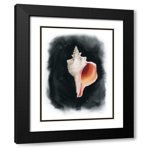 Conch on Black II Black Modern Wood Framed Art Print with Double Matting by Popp, Grace
