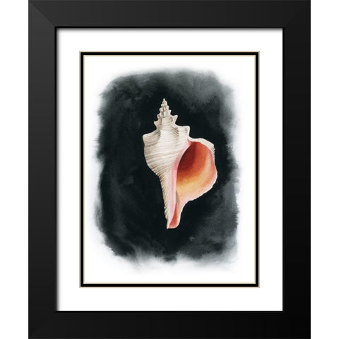 Conch on Black II Black Modern Wood Framed Art Print with Double Matting by Popp, Grace