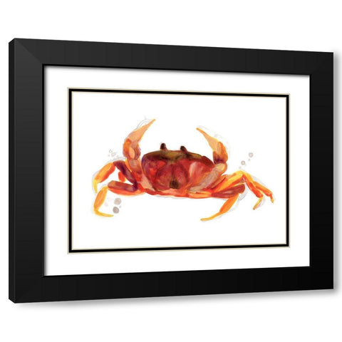 Crab Cameo III Black Modern Wood Framed Art Print with Double Matting by Vess, June Erica