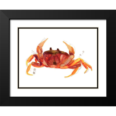Crab Cameo III Black Modern Wood Framed Art Print with Double Matting by Vess, June Erica